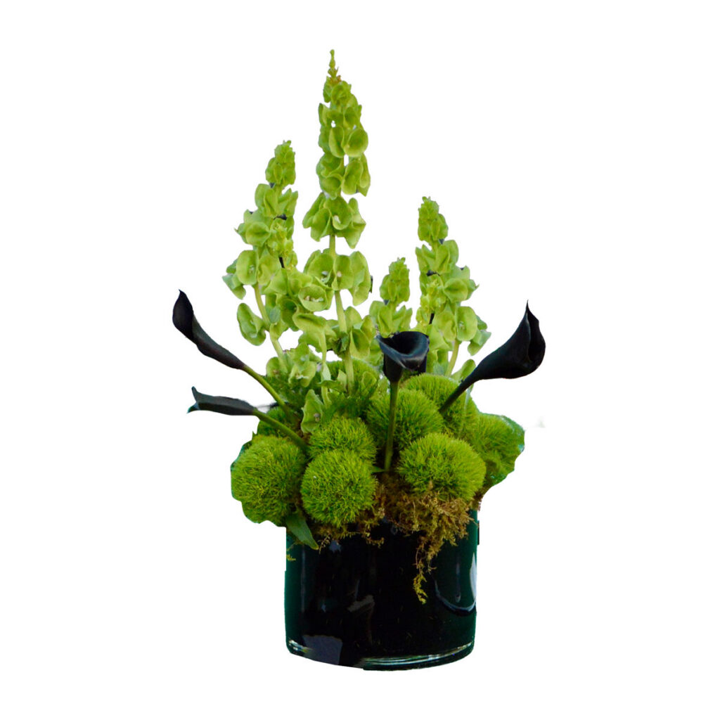 Wicked Witch Dining Centerpiece